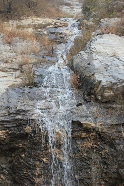 IMG_6157