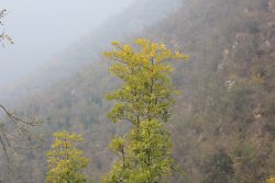 IMG_6161