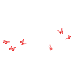493458_22297