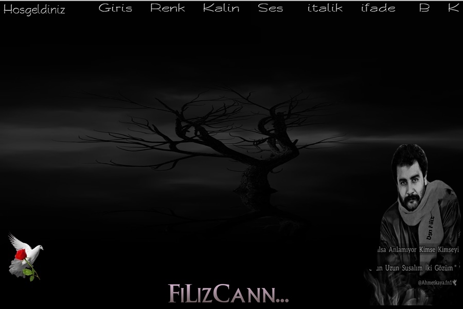 FİLİZCANNN