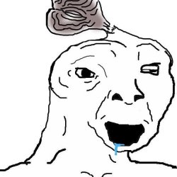 34034418_2018459621561987_4679201839168618496_n