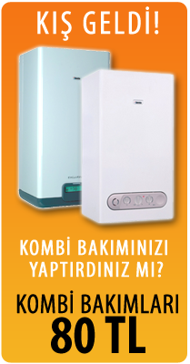 48425141_403785913701266_3387875876736598016_n