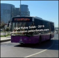 32499154017_4b0e88d8aa_z