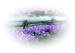 0_5bfaf_e85a721a_lmhrer