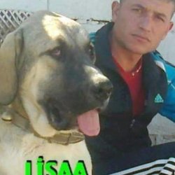 58c54b9cb158dba579f06d571c95f8e3