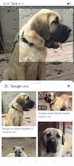 Screenshot_2019-12-28-02-29-21-11