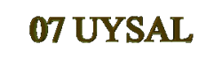 UYSAL YAZI -2