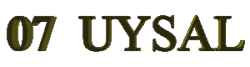 UYSAL YAZI-2