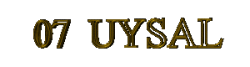 UYSAL YAZI