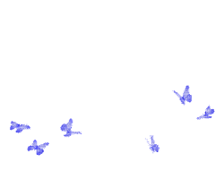 butterflies-transparent-animated-gif-5