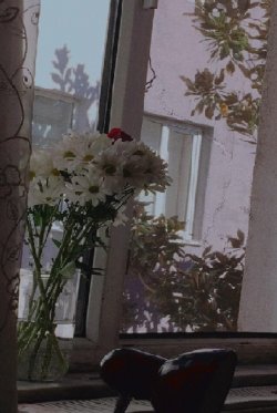 IMG-20200225-WA0100-min