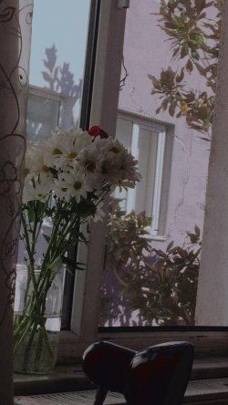 IMG-20200225-WA0100-min