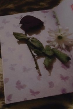 IMG-20200315-WA0078-min