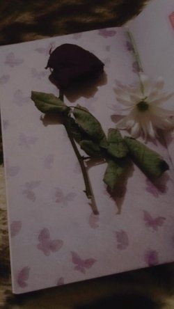 IMG-20200315-WA0078-min