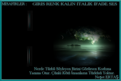 Tuncay40 2020-1 Tema