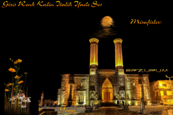 MERVE ERZURUM -2020 TEMA