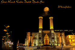 MERVE ERZURUM -2020 TEMA