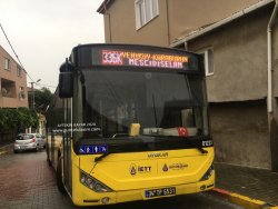 A728245F-14D7-41F0-A141-288B6F09E2AE_800x600 (1)