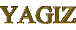 YAGIZ-2