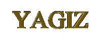 YAGIZZ-1