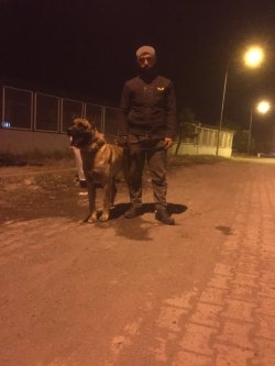 4B4FE0FA-C7F8-45CB-A92F-B8FC0F7D24F9