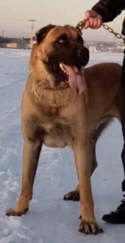 94536AEA-1622-4E1E-9280-7645C3D5607A