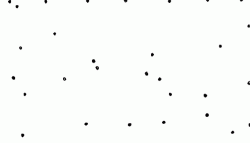 FittingWiltedDamselfly-size_restricted