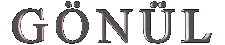 GÖNÜL 4