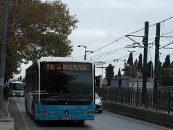 6DC7E4BF-B037-4558-9434-A23E5C501E9E