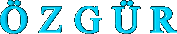 özgür yazı