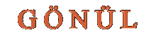 GÖNÜL ORANJ YAZI