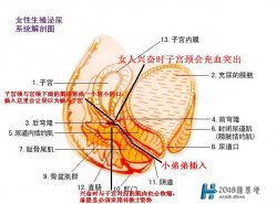 20120729_3cb21fcc6da214b88502Xsfyi5WxTYvi