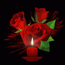 229e81297071ee36bbd695a9f1b22dcd