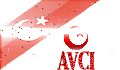 AVCI1