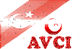 AVCI