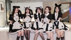 五个女仆装美女 杨清柠4