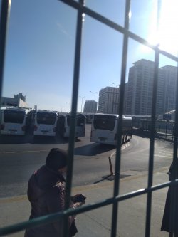 IMG_20220205_120643_1