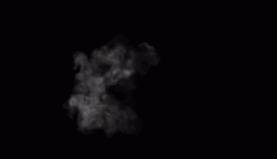 CloseQuarterlyKodiakbear-size_restricted[1]