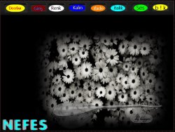 nefes papatya tema