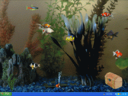 47881a82252d9fdfbe39cb9848bc2eb3