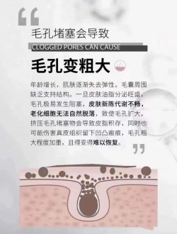 mmexport1657692140119