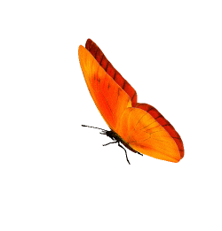 0_ae770_83ce3f8c_orig[1]