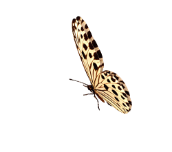 0_ae773_b4a9f16a_orig[1]