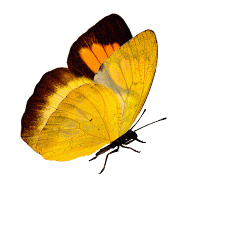 27fb22dfc58c8f091748a24552f34564[1]