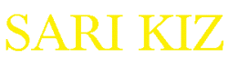 SARI YAZII