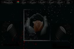 sarıııı temaaaaa