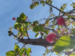 IMG_20230328_090223