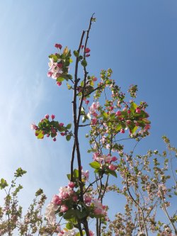 IMG_20230328_092034