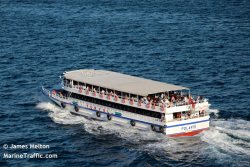 indir - 2023-07-13T143756.405