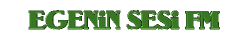 EGENIN SESI YAZI